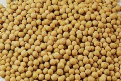 降膽固醇怎么吃？哪些食物有助降膽固醇？[圖]