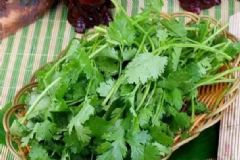 香菜搭配什么好吃？香菜和什么炒好吃？[圖]