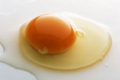 寶寶輔食蛋黃怎么吃？寶寶輔食蛋黃怎么添加？[圖]