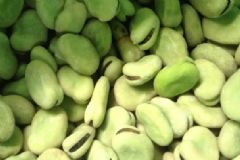 蠶豆吃多了會怎么樣？蠶豆吃多了有什么壞處？[圖]