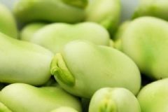 吃蠶豆會不會得蠶豆?。啃撼孕Q豆會得蠶豆?。縖圖]
