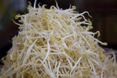 春天吃什么健康又養(yǎng)生？哪些菜適合春季吃？[圖]