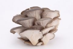 割雙眼皮術(shù)后不能吃什么？割雙眼皮有吃什么恢復(fù)快？[圖]