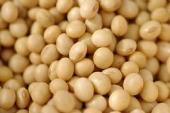 女性吃黃豆的好處有哪些？女性吃黃豆有什么好處？[圖]