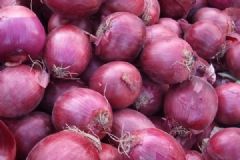 經(jīng)常食用蔥到底有多好？洋蔥的養(yǎng)生功效有哪些？[圖]