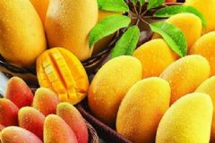 哺乳期可以吃芒果嗎？哺乳期吃芒果有什么注意事項？[圖]