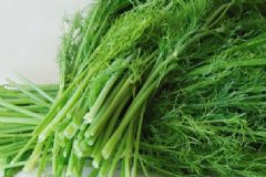 孕婦可以吃茴香嗎？產婦可以吃茴香嗎？[圖]