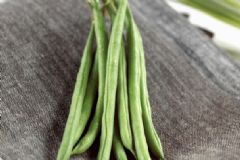 哪些蔬菜容易導(dǎo)致中毒？容易食物中毒的蔬菜有哪些？[圖]