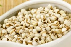 薏米仁有什么功效和作用？薏米仁有什么好處？[圖]
