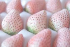 菠蘿莓是轉(zhuǎn)基因水果嗎？菠蘿莓有哪些營養(yǎng)價值？[圖]