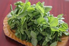 豌豆尖的補(bǔ)鈣效果好嗎？吃豌豆尖有什么營(yíng)養(yǎng)價(jià)值？[圖]