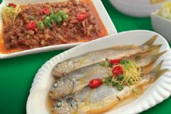 多吃魚可以變聰明嗎？不同魚有哪些不同的功效？[圖]