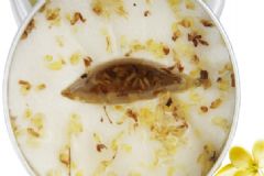 膜法世家眼膜怎么樣？膜法世家眼膜哪款好？[圖]