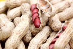 花生生吃好還是熟吃好呢？食用生花好不好？[圖]
