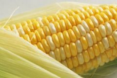 玉米須有副作用嗎？玉米須的作用是什么？[圖]