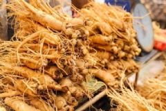 食用人參需要注意什么？人參和什么一起吃比較好？[圖]
