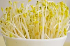 吃豆芽有哪些好處？適當(dāng)吃豆芽有什么好處？[圖]