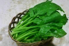菠菜有什么功效與作用？菠菜的吃法有哪些？[圖]