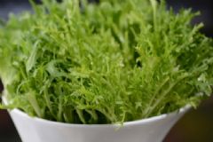 苦菊的功效與作用有哪些？苦菊吃了有什么好處？[圖]