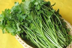 香菜煮水能退燒嗎？ 香菜煮水有什么功效？[圖]