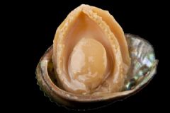 鮑魚可以生吃嗎？鮑魚生吃有什么危害？[圖]