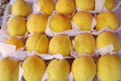 黃桃吃了有什么好處？吃黃桃的好處？[圖]