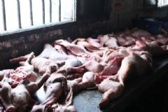 死豬肉辨別方法有哪些？死豬肉怎么辨別？[圖]