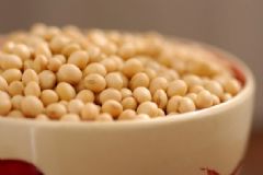 大豆有什么營養(yǎng)價(jià)值？大豆的功效與作用有什么？[圖]