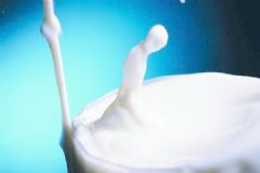 牛奶不能與什么同食？喝牛奶需要注意些什么？[圖]