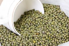 綠豆長蟲子怎么樣處理？綠豆里面的蟲子怎么樣驅(qū)除？[圖]