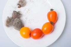 吃了發(fā)霉的東西怎么辦？食物發(fā)霉為什么不能吃？[圖]