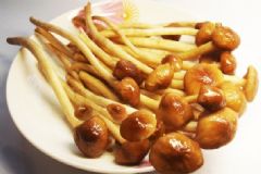 食用茶樹菇應(yīng)該注意哪些事項(xiàng)？茶樹菇的搭配禁忌[圖]