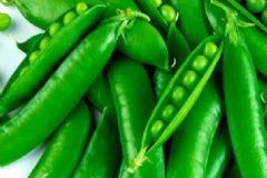 夏季防曬吃什么好？哪些食物有防曬功能？[圖]