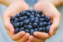 什么食物對(duì)眼睛好？什么食物對(duì)眼睛有好處？[圖]