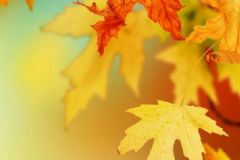立秋吃什么對身體好？立秋養(yǎng)生小常識有哪些？[圖]