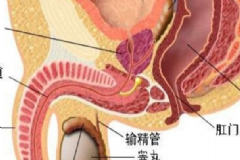 有效預防睪丸炎的方法有哪些？預防睪丸炎有什么好方法？[圖]