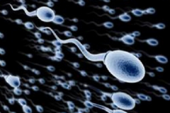 哪些行為會(huì)傷害精子？做什么事情會(huì)傷害男人精子？[圖]