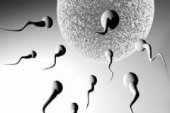 殺男人精子的東西有哪些？盤點(diǎn)5大精子殺手[圖]