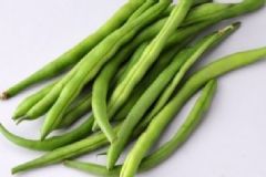 四季豆的營養(yǎng)價值及功效 四季豆有什么營養(yǎng)？[圖]