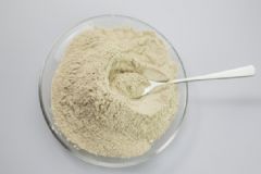 三七粉的副作用有哪些？三七有什么食用禁忌？[圖]