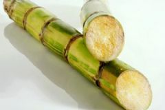 甘蔗的營(yíng)養(yǎng)價(jià)值高嗎？甘蔗屬于水果還是蔬菜？[圖]