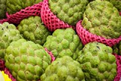 釋迦果怎么吃？釋迦應(yīng)該怎么吃？[圖]