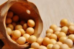 什么食物豐胸效果快？什么食物豐胸效果最好？[圖]