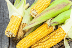 減脂肪的食物有哪些？哪些運(yùn)動(dòng)可以減脂肪？[圖]