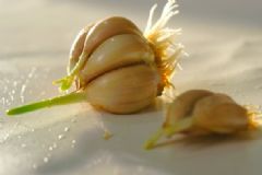 大蒜發(fā)芽了還能吃嗎？發(fā)芽的大蒜能吃嗎？[圖]