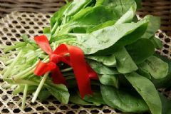 菠菜的營(yíng)養(yǎng)價(jià)值多高？菠菜的營(yíng)養(yǎng)成分有哪些？[圖]
