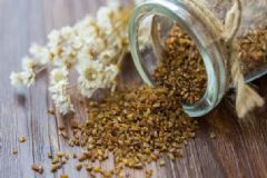 苦蕎茶有什么功效與作用？苦蕎茶要怎么食用呢？[圖]