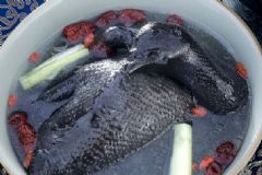 烏雞不能和什么同食？烏雞不能和什么一起吃？[圖]