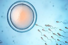 小蝌蚪的質(zhì)量如何保證？男性如何保持精子健康？[圖]