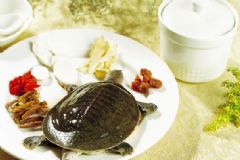 鱉甲有什么功效與作用？鱉甲的食用方法有哪些？[圖]